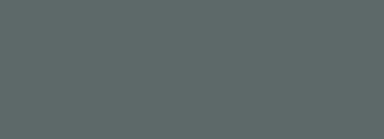 window-color-ral-7005-mouse-grey.png