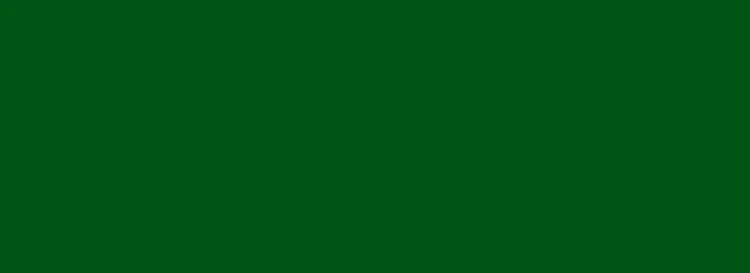 Farba Do Bram Ogrodzenia Hempel Speed Dry 43140 Matowa RAL 6002 5L